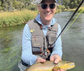 Brown Trout